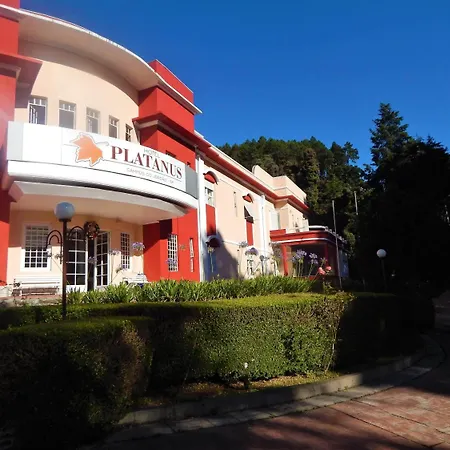 Hotel Platanus-3