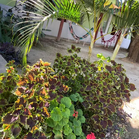 Pousada Tropical-3