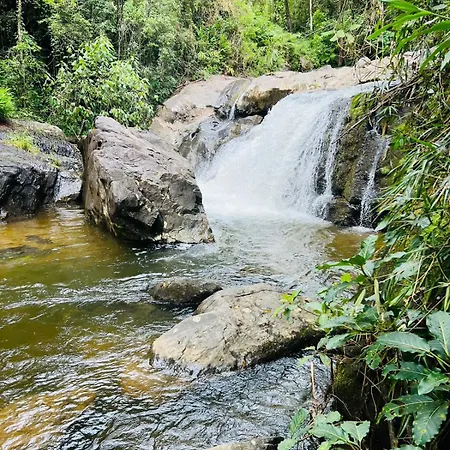 Casa do Bosque-3