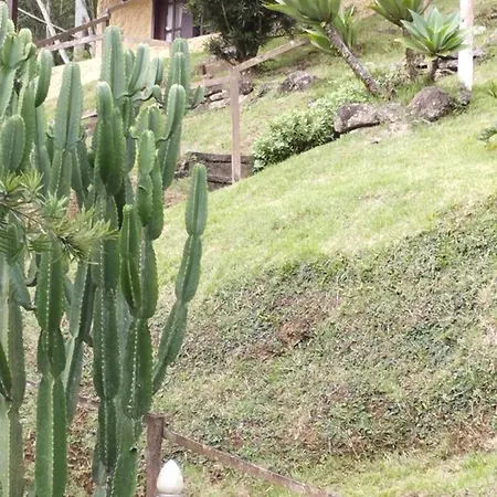 JARDIM REAL - Chalés para casais-3