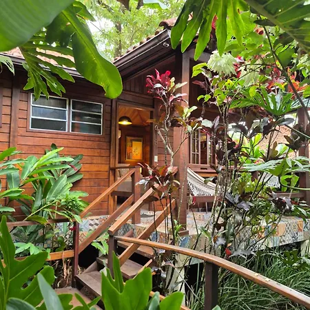 Aratinga Inn-3