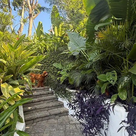 Raro Ipanema Boutique Hotel-2
