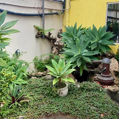 Vila Santê-3
