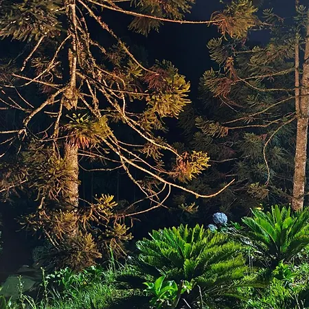 Hortênsias da Serra Pousada-3