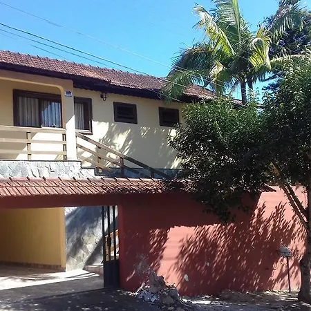 Ipe Amarelo-2