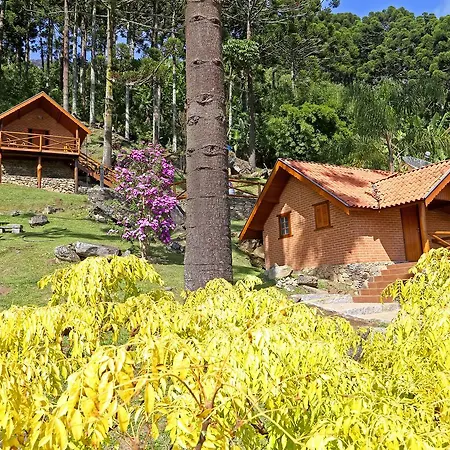 Chalés Araucária e Manacá-2