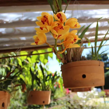 Pousada Terra Viva-3