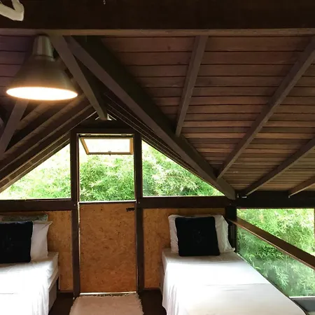 Pousada Rainforest House - Ilha Grande-2