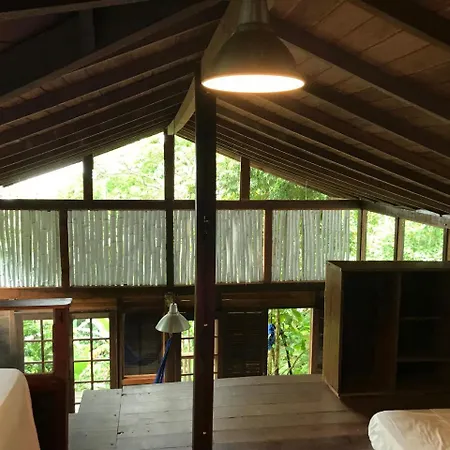 Pousada Rainforest House - Ilha Grande-3