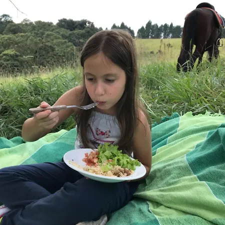Rancho Cavalo Mania-3