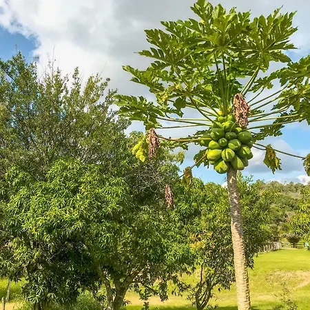 Fazenda Paisagem Chalés-2