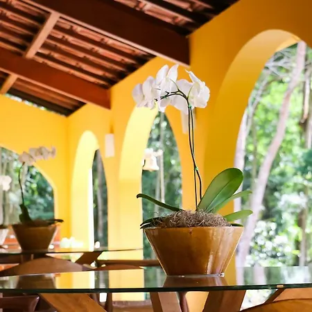 Hotel Capim Limão Itaipava-3