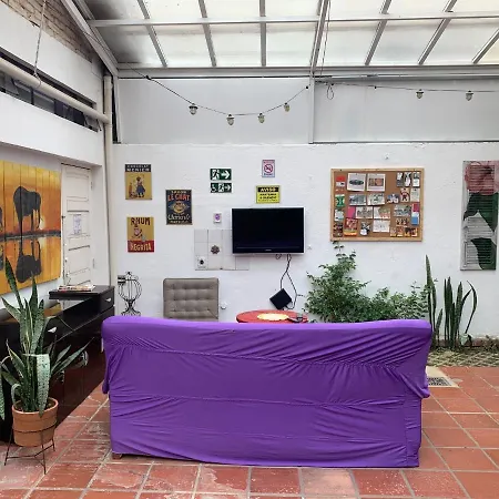Purple House Hostel-3
