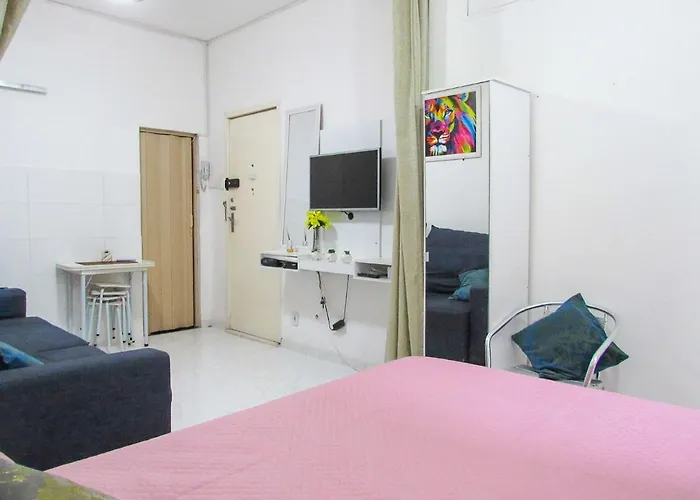 Apartamento C Wifi A 800M Da Praia Do Flamengo Rj Rio de Janeiro che accetta animali