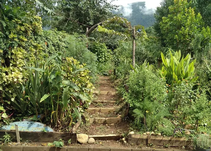 Sitio Alecrim Casa De Cura E Hospedagem Aiuruoca