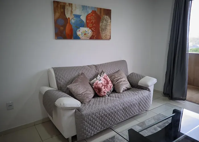 Ape301: Espacoso E Aconchegante Juiz de Fora