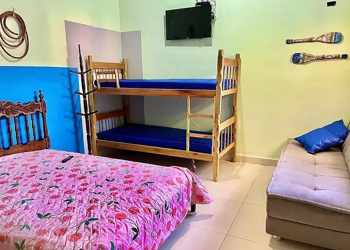 Pet friendly Aptos Ubatuba