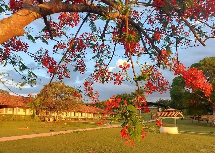 Sertão Veredas Hotel Fazenda Paraopeba