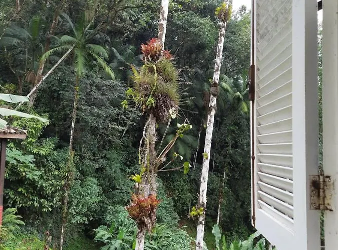 Casa Camburi - Hostel Sao Sebastiao 
