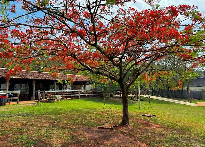 Hotel Fazenda Sao João Sao Pedro 