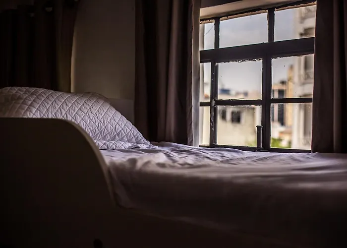 Hostel Liberdade San Paolo che accetta animali