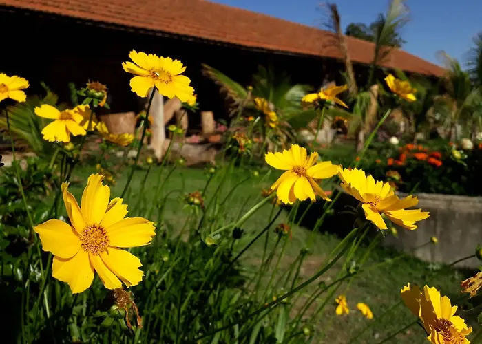 Parque Paraíso das Flores Holambra