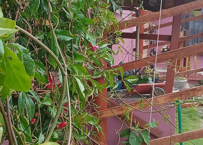 Recanto Pequena Sereia São Mateus
