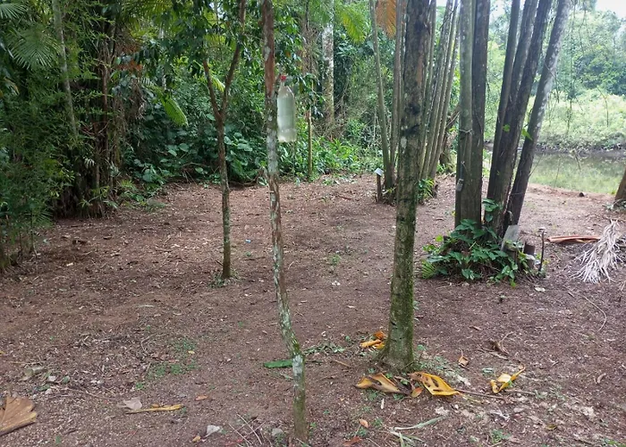 Camping Monte Hermom Ubatuba