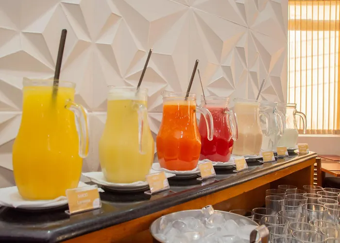 Fenix Hotel Pouso Alegre