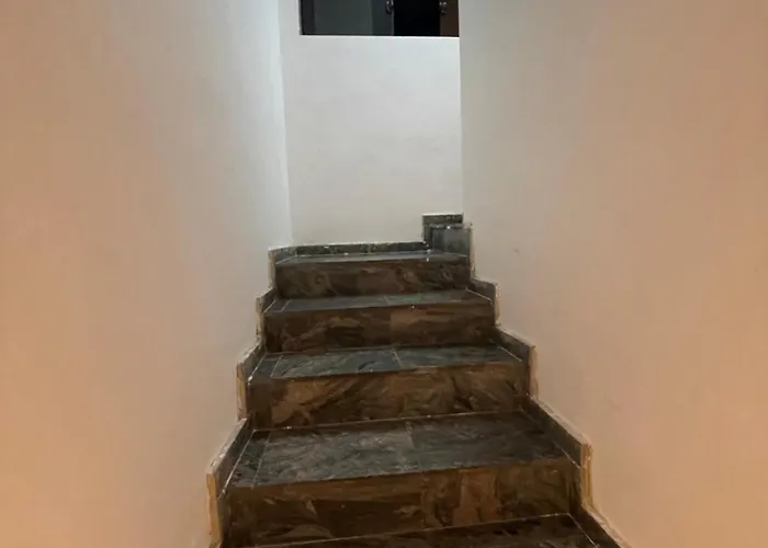 Pet friendly Hotel Belenzinho Sao Paulo