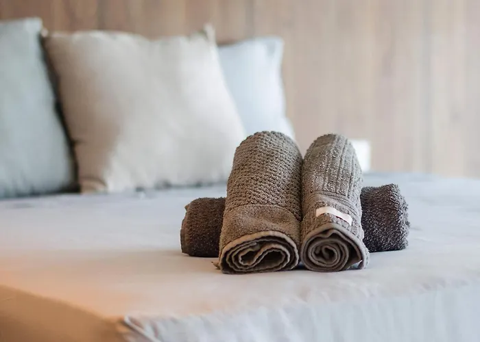 Beach Loft Next To The Sheraton Rio de Janeiro acceptant les animaux