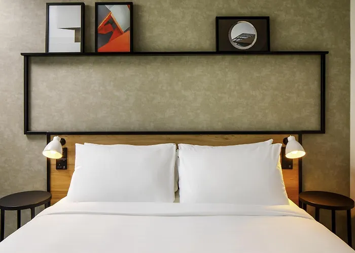 Ibis Nova Serrana