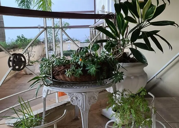 Vitoria Garden Hotel Águas de Lindóia