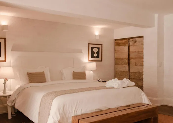 Roots Resort Monte Verde 